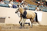 10yn-00446 thumbnail