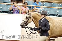 10yn-00447 thumbnail