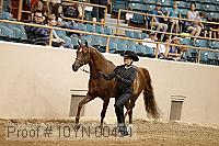 10yn-00454 thumbnail