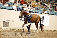 10yn-00456 thumbnail