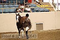 10yn-00543 thumbnail