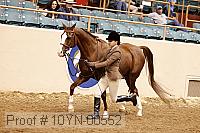 10yn-00552 thumbnail