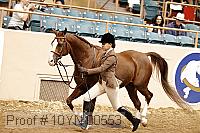 10yn-00553 thumbnail