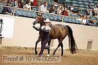 10yn-00557 thumbnail