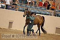 10yn-00576 thumbnail