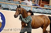 10yn-00579 thumbnail