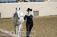 10yn-00584 thumbnail