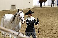 10yn-00585 thumbnail