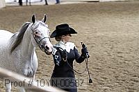 10yn-00587 thumbnail