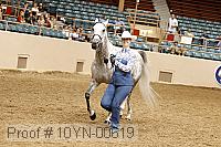 10yn-00619 thumbnail