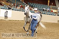 10yn-00620 thumbnail