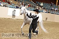 10yn-00624 thumbnail