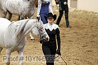10yn-00632 thumbnail