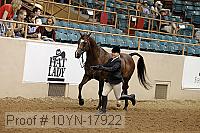 10yn-17922 thumbnail