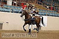 10yn-17923 thumbnail