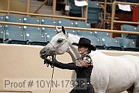 10yn-17948 thumbnail
