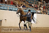 10yn-17949 thumbnail