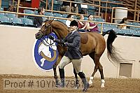 10yn-17951 thumbnail