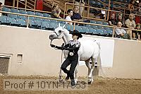 10yn-17953 thumbnail