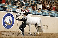 10yn-17954 thumbnail
