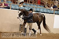 10yn-17956 thumbnail