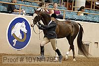 10yn-17957 thumbnail