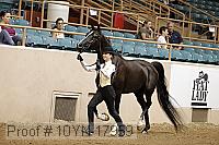 10yn-17959 thumbnail