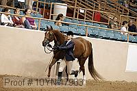 10yn-17963 thumbnail