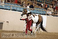10yn-17965 thumbnail