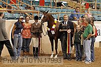 10yn-17993 thumbnail