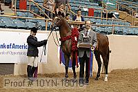 10yn-18010 thumbnail