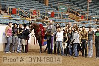 10yn-18014 thumbnail