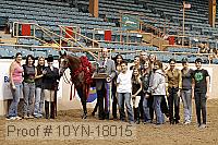 10yn-18015 thumbnail