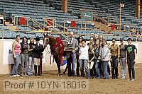 10yn-18016 thumbnail