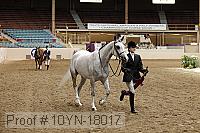 10yn-18017 thumbnail