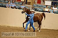 10yn-00031 thumbnail