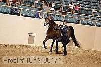 10yn-00171 thumbnail