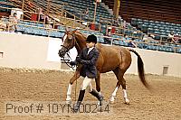 10yn-00214 thumbnail