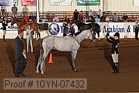 10yn-07432 thumbnail
