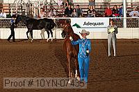 10yn-07435 thumbnail