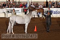 10yn-07473 thumbnail