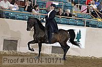10yn-10171 thumbnail
