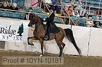 10yn-10181 thumbnail