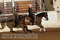 10yn-21357 thumbnail
