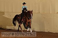 10yn-21362 thumbnail