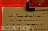 10yn-13372 thumbnail