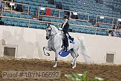 10yn-05592 thumbnail