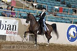 10yn-05602 thumbnail