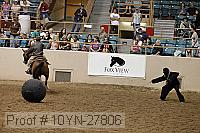 10yn-27806 thumbnail