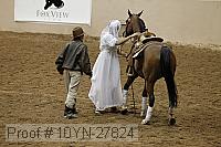 10yn-27824 thumbnail